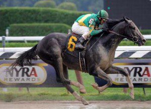 Honor Code Adam Coglianese