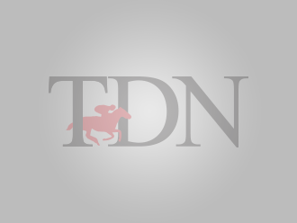 AAEP Introduce Initiative to Enhance Horse Health & Racing Integrity