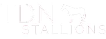 TDN Stallions