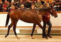 Just The Judge Well On Top at 4.5 Million Guineas