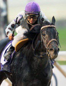 Ocho Ocho Ocho Coady Photography