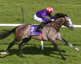 One Dozen Declared for Derby