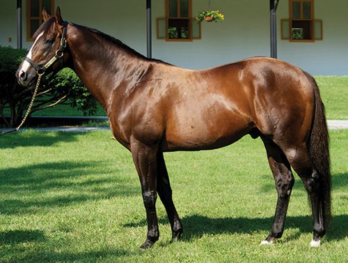 Pope Strikes at $3.2 Million for a Daughter of Take Charge Lady