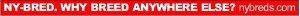 WhyBreedAnywhereElse-NYTB