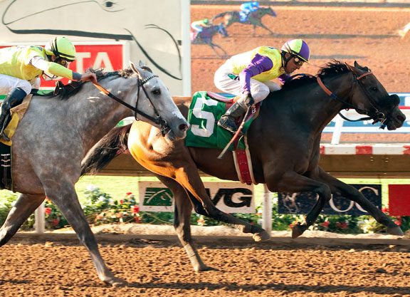 Hard Spun’s Big John B Lasts in the Cougar II