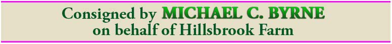 ConsignedMikeByrneHillsbrook-DOUBLE-ParkStud