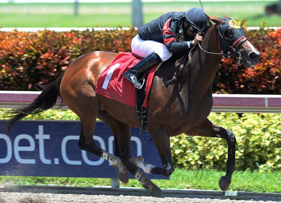 Medaglia d’Oro Filly ‘Waltzes’ to Victory in Hallandale
