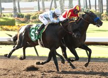 Lute Gets Los Al Loot