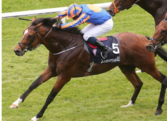 Coolmore Ireland Announces 2016 Fees