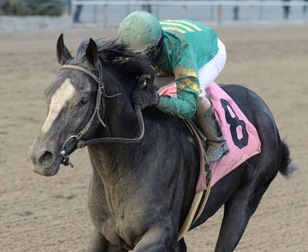 Today’s Insights 11-19-15