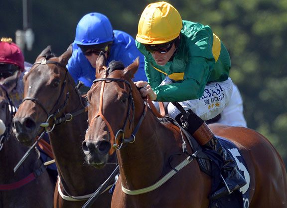 Illuminate Shines at Newmarket