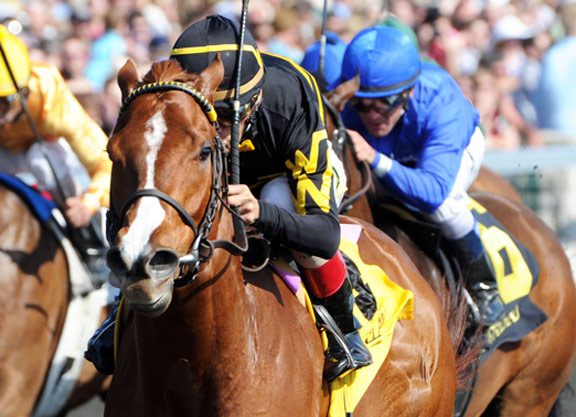 Judy the Beauty Retires