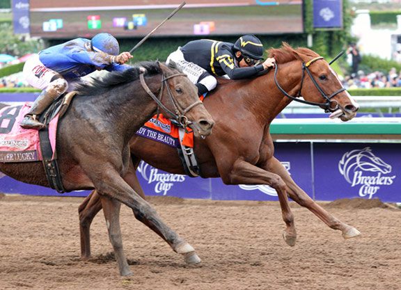 Judy Aims for Top Honors