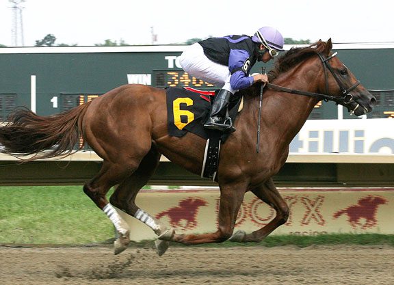 First Dude Colt a ‘Warrior’ at Parx