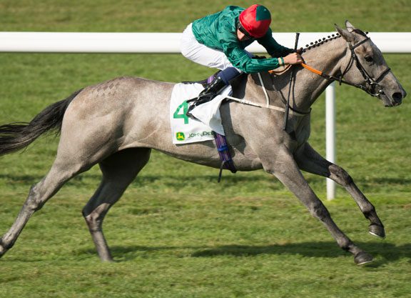 Shamardal Filly Impresses in Newmarket Unveiling
