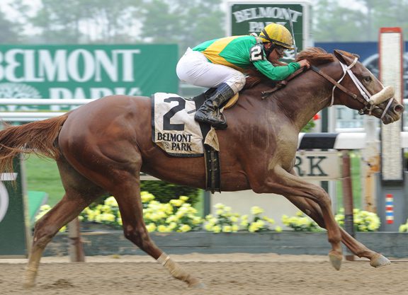 Pletcher Trio Headlines Discovery