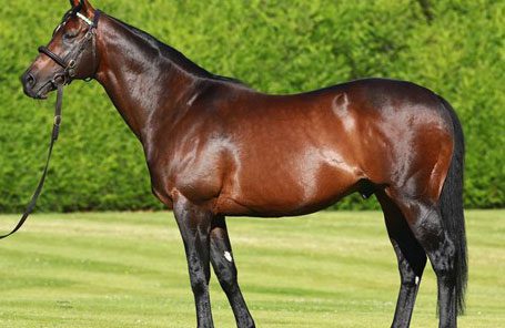 Kin to MG1SW Midday Graduates at Nottingham