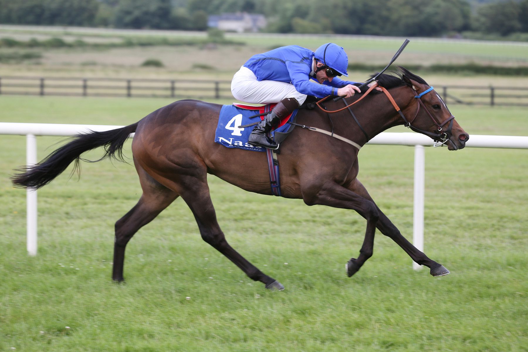 Cape Cross Filly Strikes On Debut At Naas