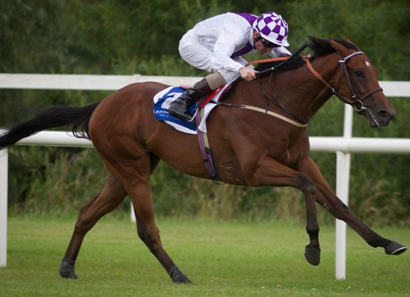 “Teofilo Reincarnated” Romps At Leopardstown
