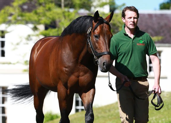 Sea the Stars Filly Impresses At York