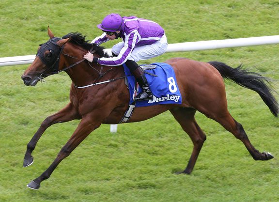 Brother of Epsom Oaks Victress Qualify Graduates at The Curragh