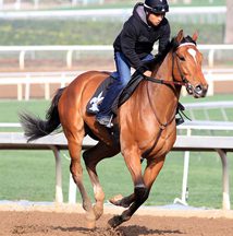 Travers Contenders Post Works