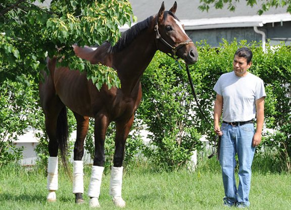 Clement Duo Breeze at Belmont