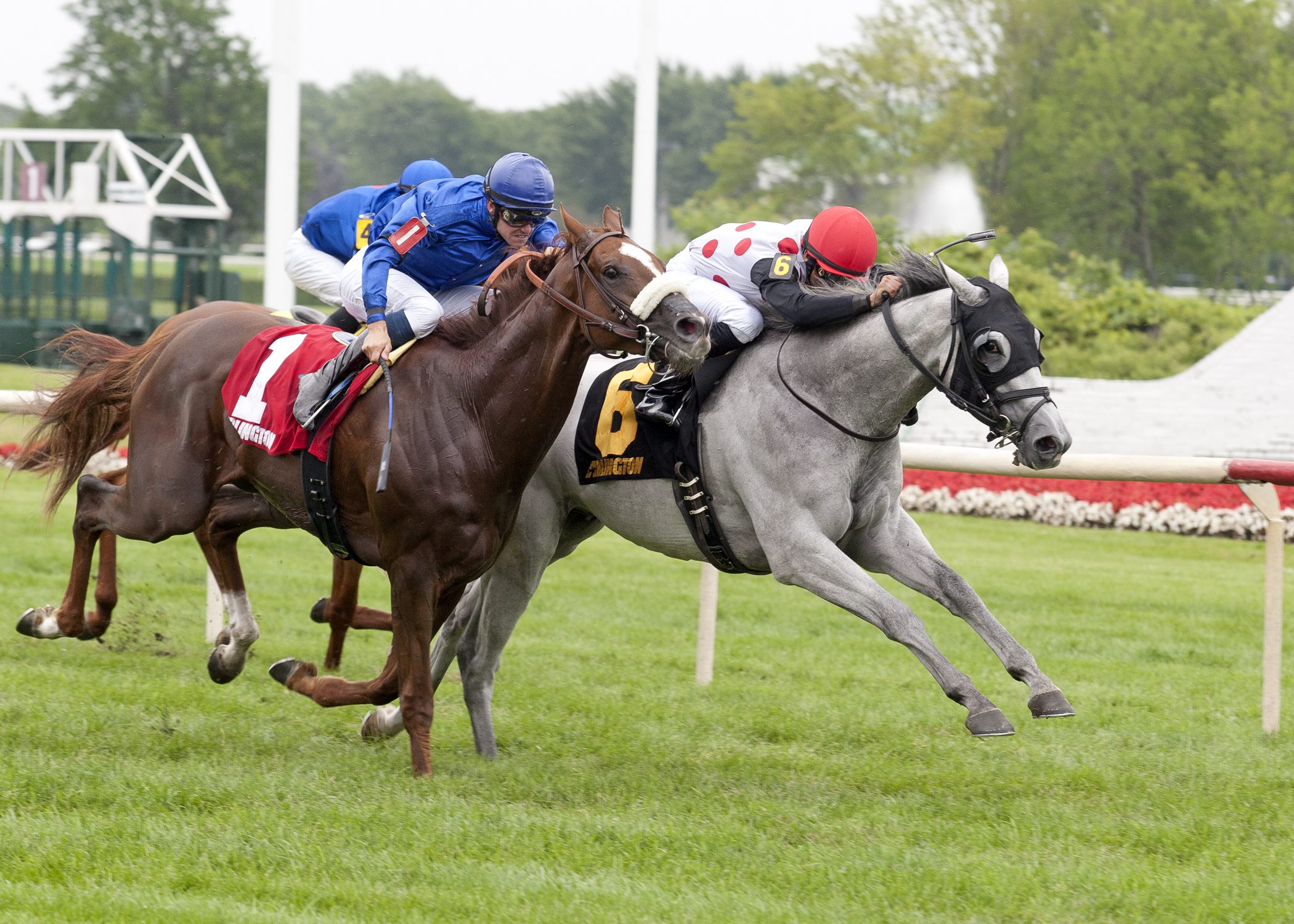 Well-Related World Approval Tenacious in American Derby