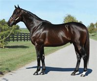 Warrior’s Reward Firster Runs to the Money at Los Al