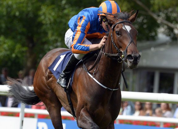 Galileo Filly Graduates at Newmarket