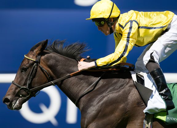 Kodiac’s Besharah Much the Best In the Princess Margaret