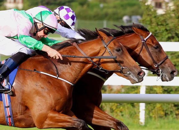 Sanus Per Aquam Upset By Galileo Colt In the Tyros