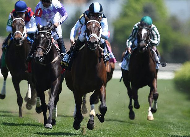 Dozen Ways to Dive Into Lake George