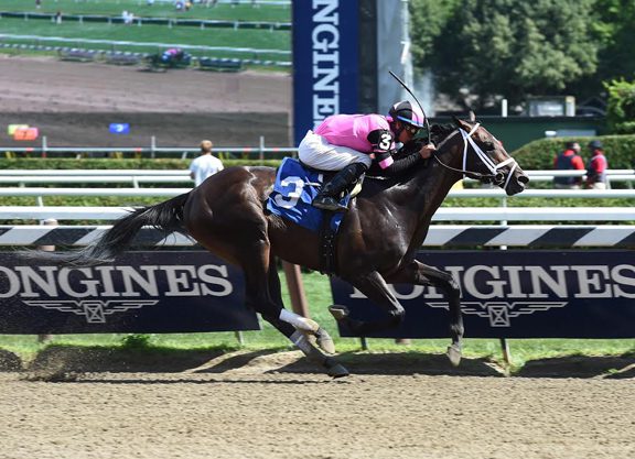 Street Boss Colt Wins at Saratoga, Becomes Newest ‘Rising Star’