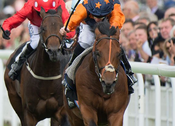 Kyllachy Colt Garners the Molecomb