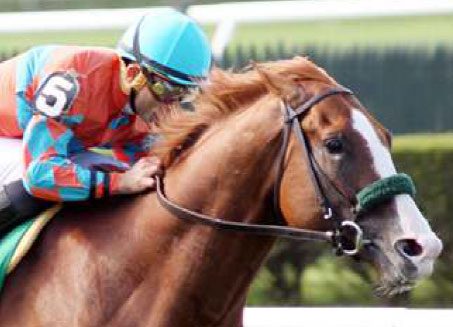 Force the Pass Races Clear in the Belmont Derby