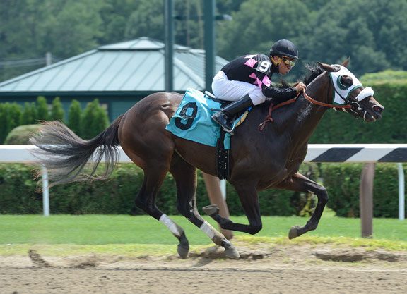 Haynesfield Firster in a ‘Realm’ of His Own