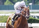 Speightster Remains Perfect in the Dwyer
