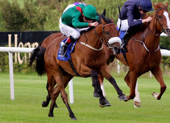 Dubawi Filly Still Unbeaten After Silver Flash Test