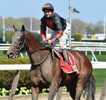 Tonalist to Wait for Gold Cup