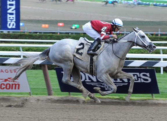 ‘Wicked’ Victory for Tapit Juvenile at the Spa