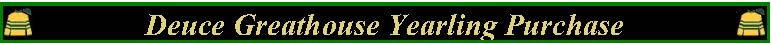 yearlingpurchase-Greathouse