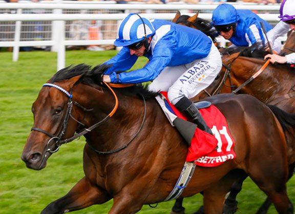 Hungerford Glory For Kodiac’s Adaay