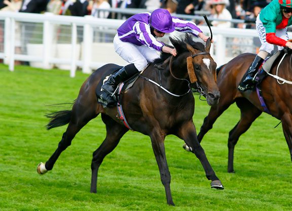 Ballydoyle Trio In Line For Voltigeur