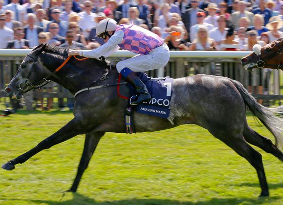 Amazing Maria Will Race in 2016