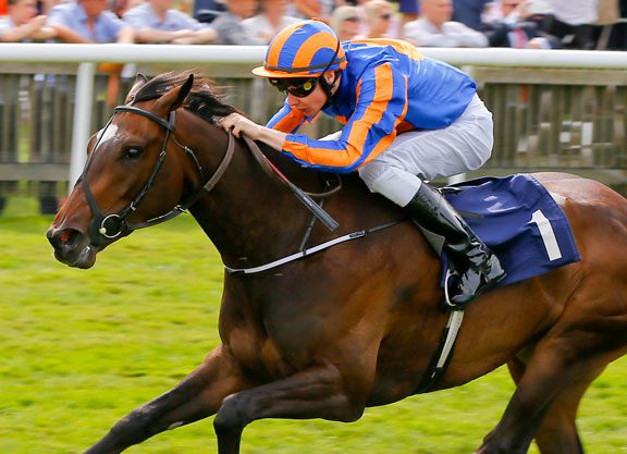 Quality Entries For Debutante