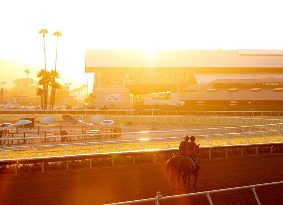 Barretts Rolls the Dice With August Sale