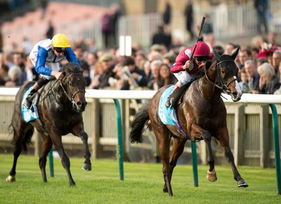 Two Added To Haydock Sprint