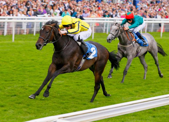 Kodiac’s Besharah Impressive In the Lowther