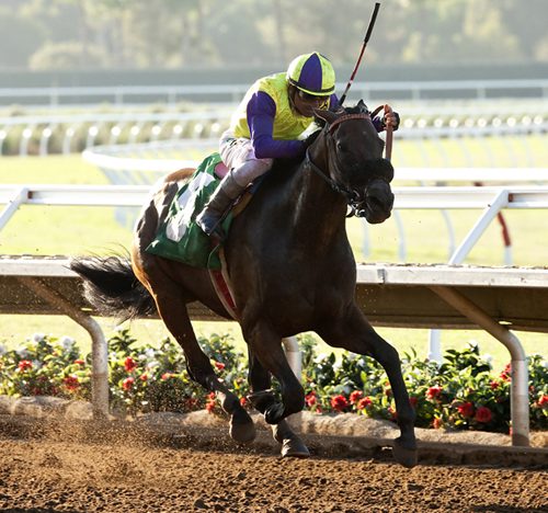 Del Mar ‘Cap is Anyone’s Race